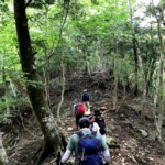 急登が続きます。