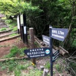 犬越路経由で降ります