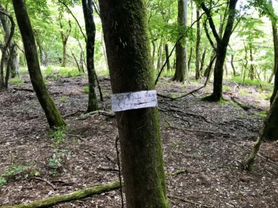 日影山、平らな山頂でした