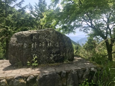 林道秦野峠