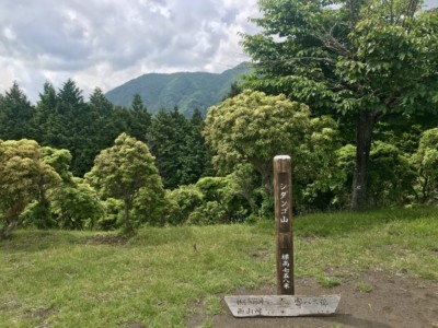 シダンゴ山