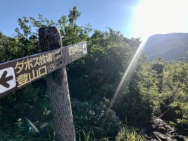 陽光、キタ━━(゚∀゚)━━!!