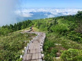 木道階段を振り返る