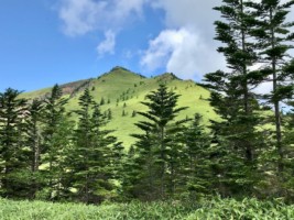 根子さんが見えました