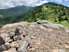 そして子ネコへ。ねこ&あずまや