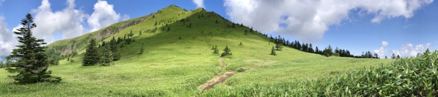 眠気も吹っ飛ぶこの景色