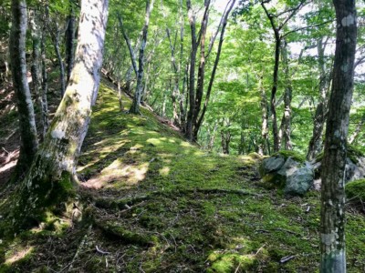 緑の尾根がいい感じ