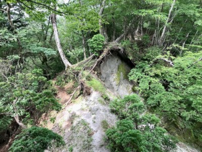 気をつけていこう