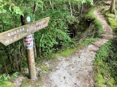 ここから善六山方面に