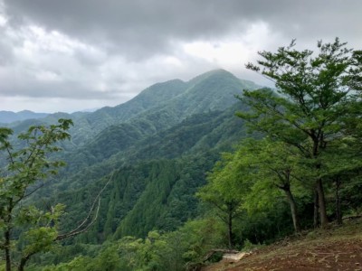 善六山からの畦ヶ丸