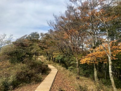 紅葉が始まっていました!