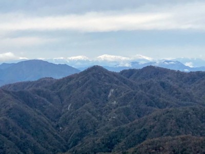 南アルプスも冠雪していました