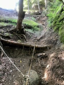 迂回ルートもロープありです