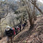 久しぶりの定例山行で大勢が参加