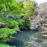 上水之尾用水溜池 上水之尾用水溜池