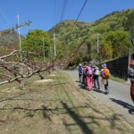 春ののどかさを感じながらスタート