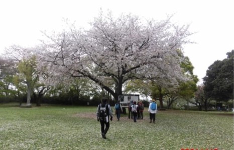 ホウダイヤマ1号古墳跡。4世紀築造/全長65mの前方後円墳。大量の弥生式土器が出土した