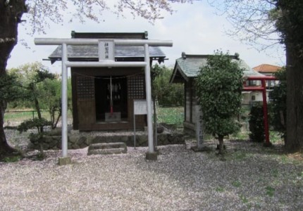 愛甲三郎館跡。神明神社と稲荷神社の社がある