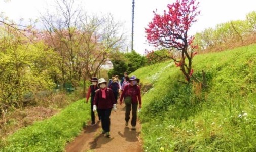 春の花で彩られた高森の山里の小径をのんびりウォ-キング