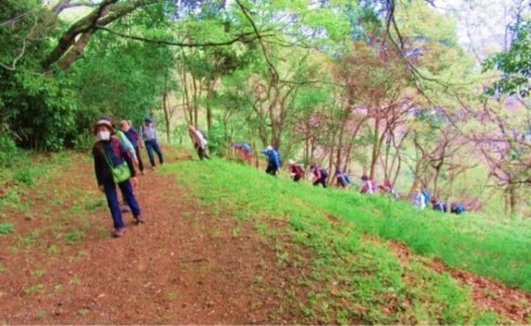 高森から標高127mの岩田山を越えて小野へ向かう