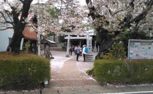 愛甲一族の氏神として信仰篤い延喜式内社の小野神社