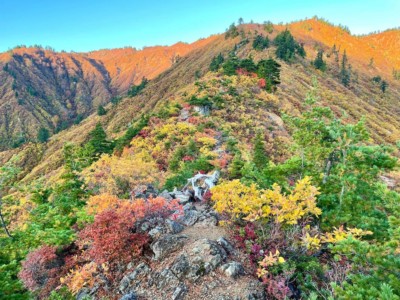 紅葉とモルゲンロート