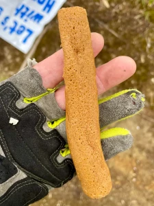 新潟名物ぽっぽ焼きをいただく。美味!