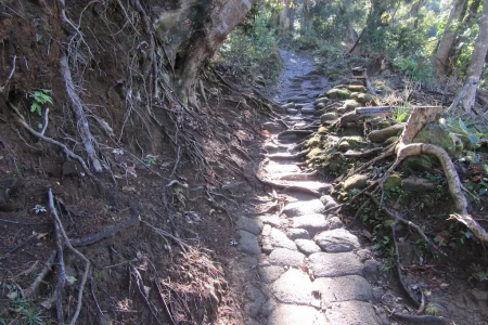 房総石の運搬道として、1985年まで利用されてきた車力道には敷き詰められた石畳にねこ車の轍がくっきり。