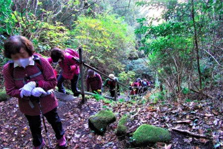 ジュピタの壁の左側の断崖を刻んで造られた百数十段の石段は、傾斜がきつい上に、石段の摩耗が激しく、細心の注意を払い,息を切らせながら、稜線まで登り切った。