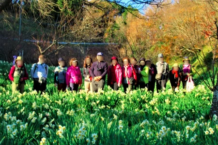 見頃を迎えつつある水仙を前景に記念撮影。