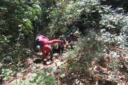 凝灰質砂岩の露岩の急登、同泥岩の滑りやすい急坂の下り等、侮れないコースが随所にある鎌倉アルプスコ-ス。