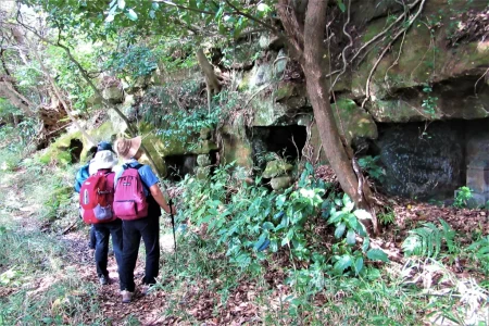 鎌倉期の武士の墓としては最大規模とされる横穴式墓地跡「百八やぐら」に立ち寄る。