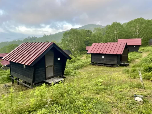 宿泊したバンガロー
