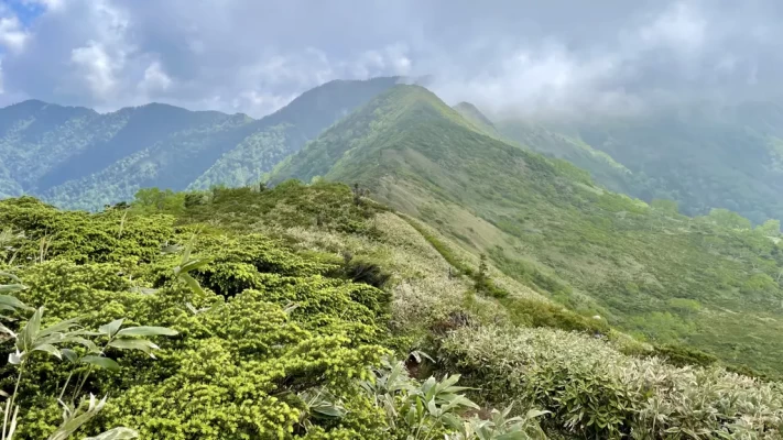 稜線に出ました