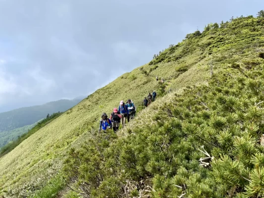 天空の散歩道です
