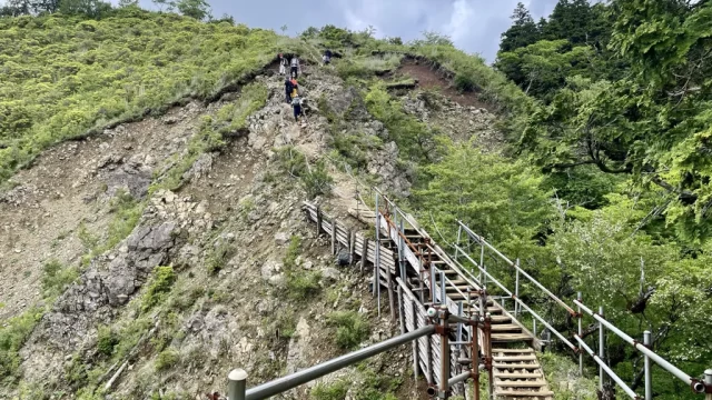 尾根を登っていきます