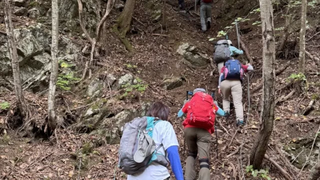 登山道ではないためか、かなりの急登でした