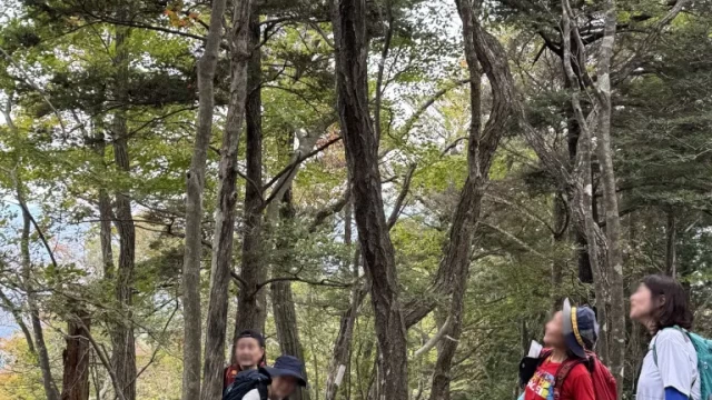 少し紅葉していました