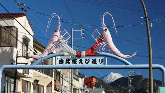 由比駅前の桜えび通り